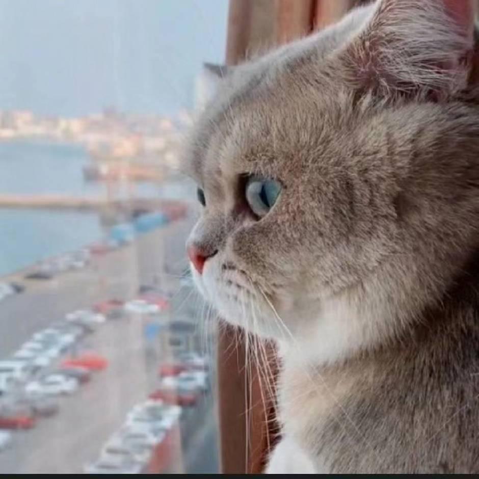 。。。