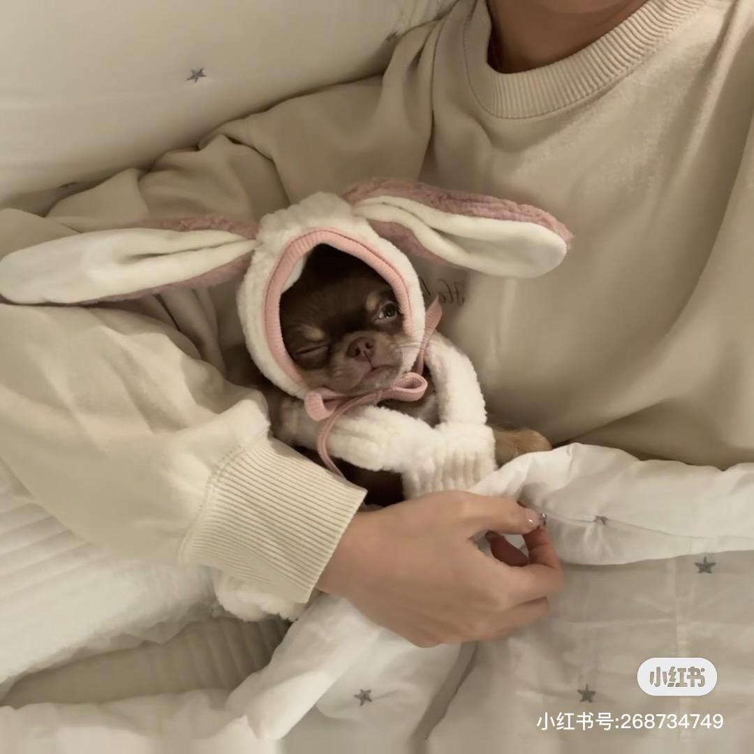 凯凯Kaikai