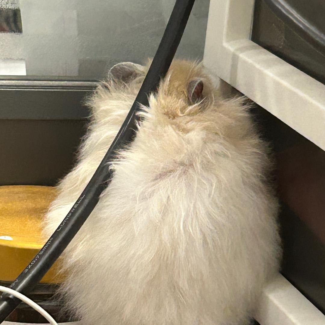 吃饭香香身体棒棒