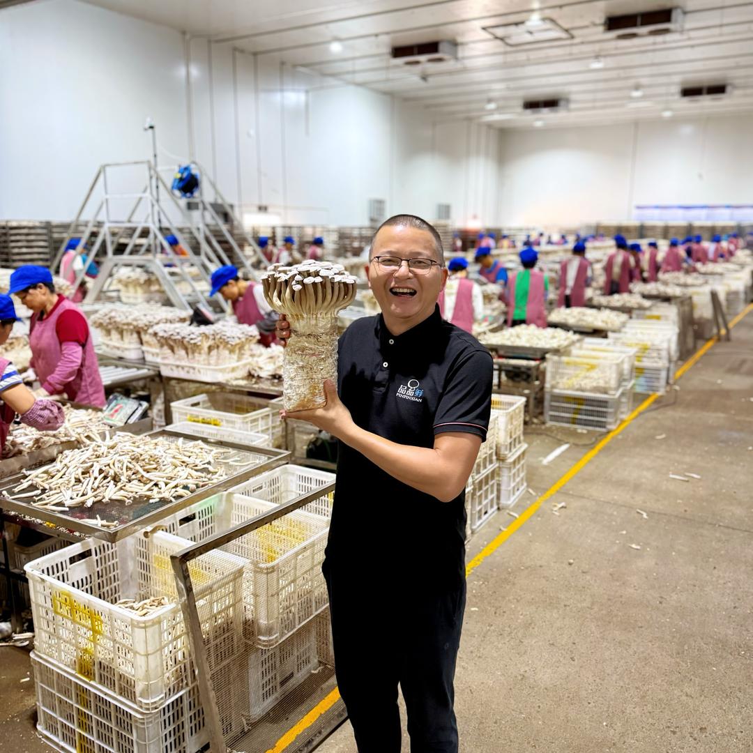 汇菇源鲜菌工厂