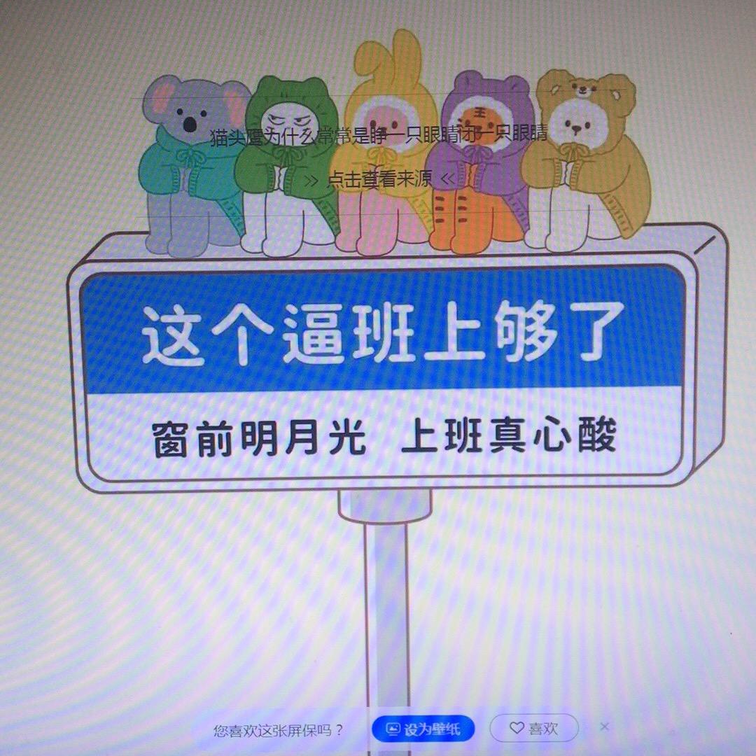美丽人生🐟