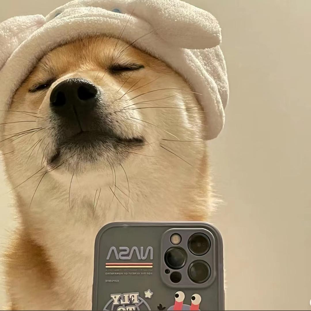 安轻尘