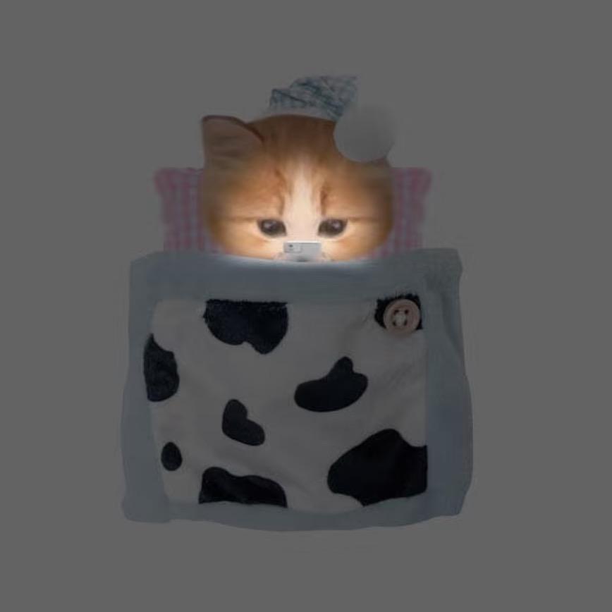 帅到小美倒追我