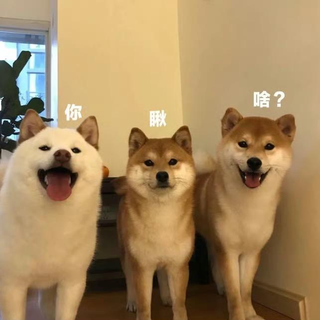 珍妮玛士多