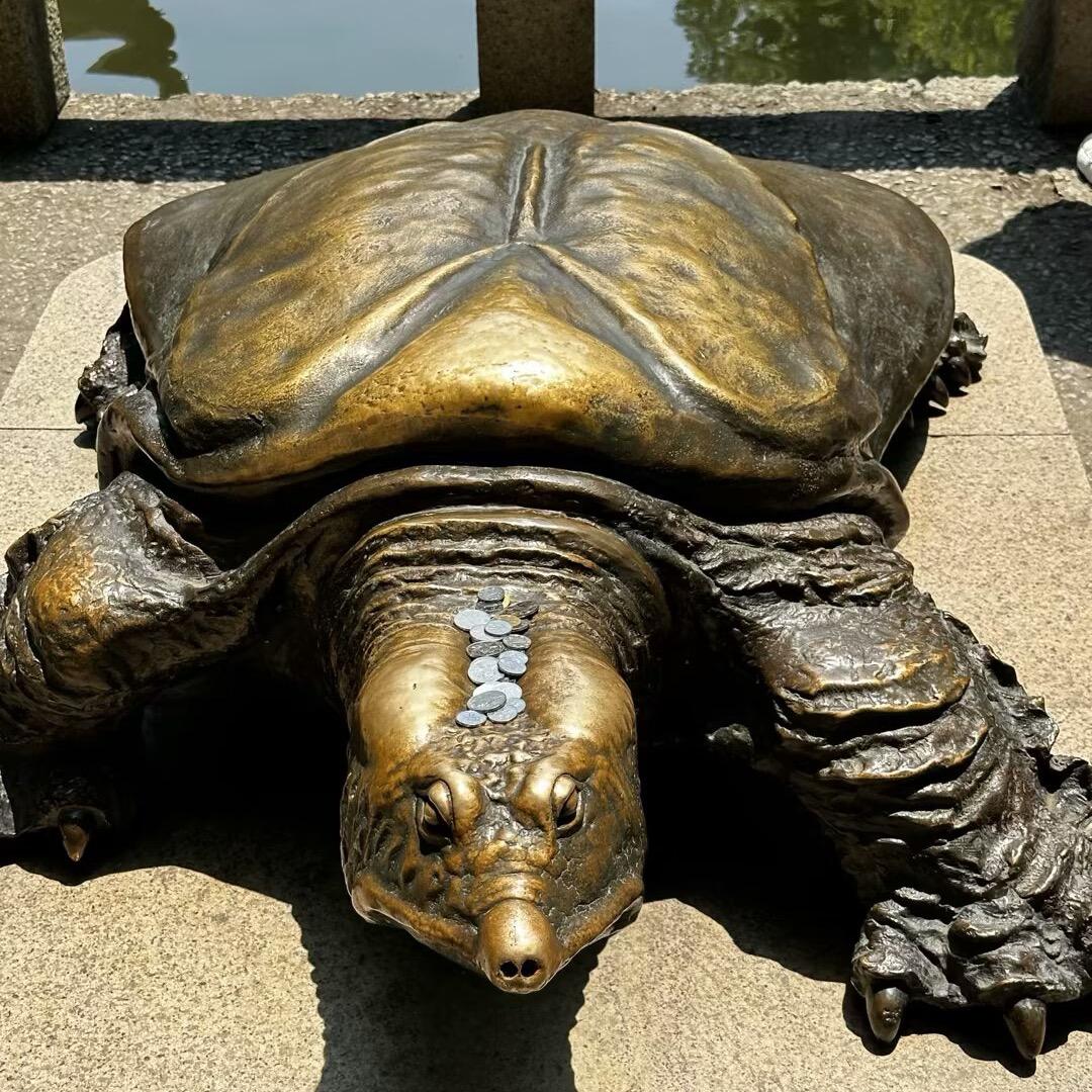 龟元当铺💰（私信不回）