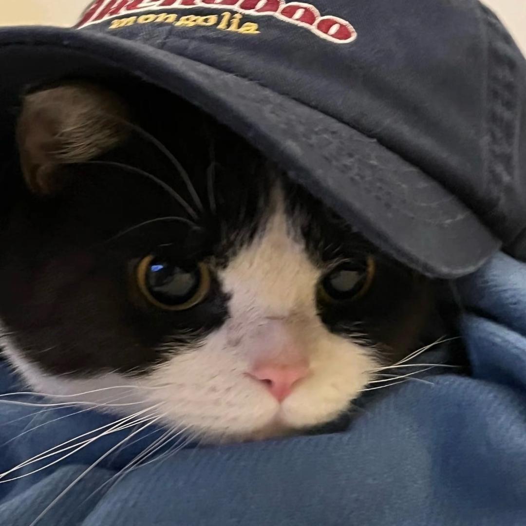 被风吹走的夏天