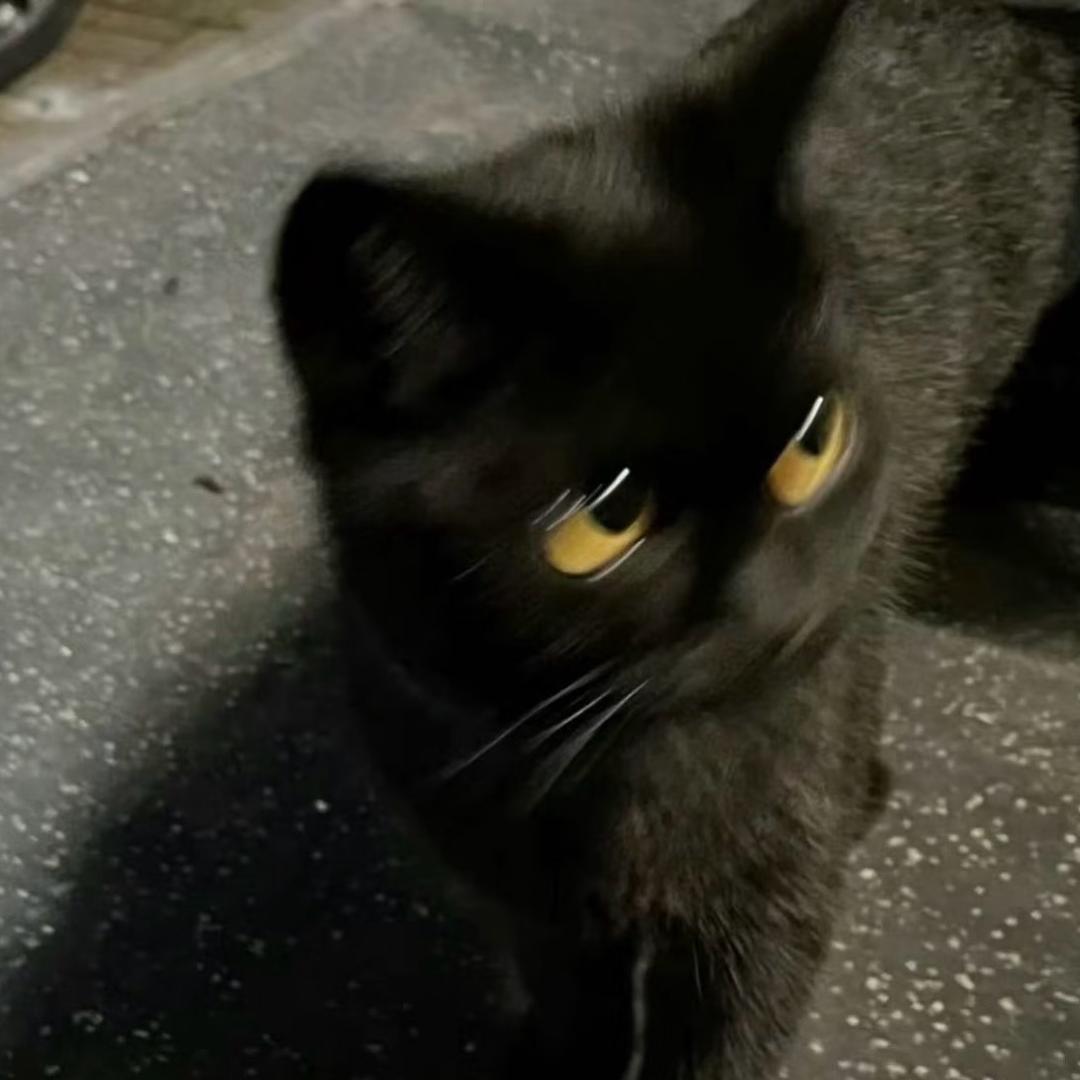 LLy.