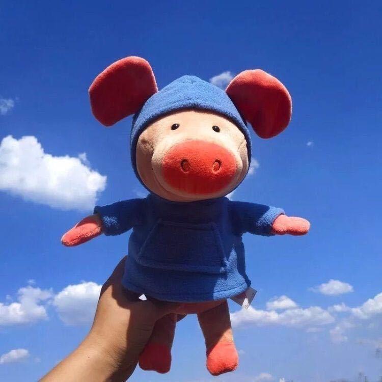 小朴