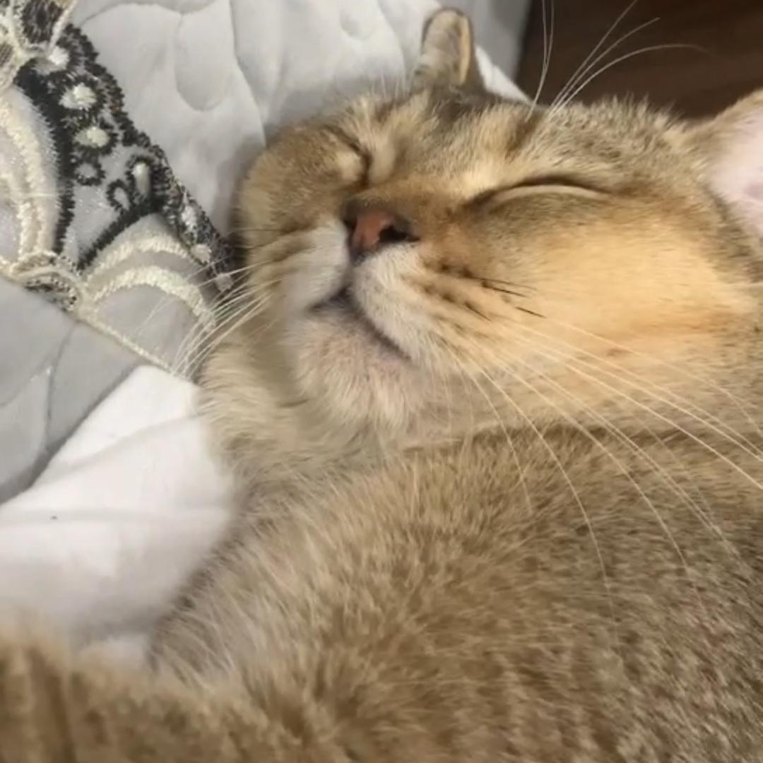 🌈百事🌈冰淇淋🍦