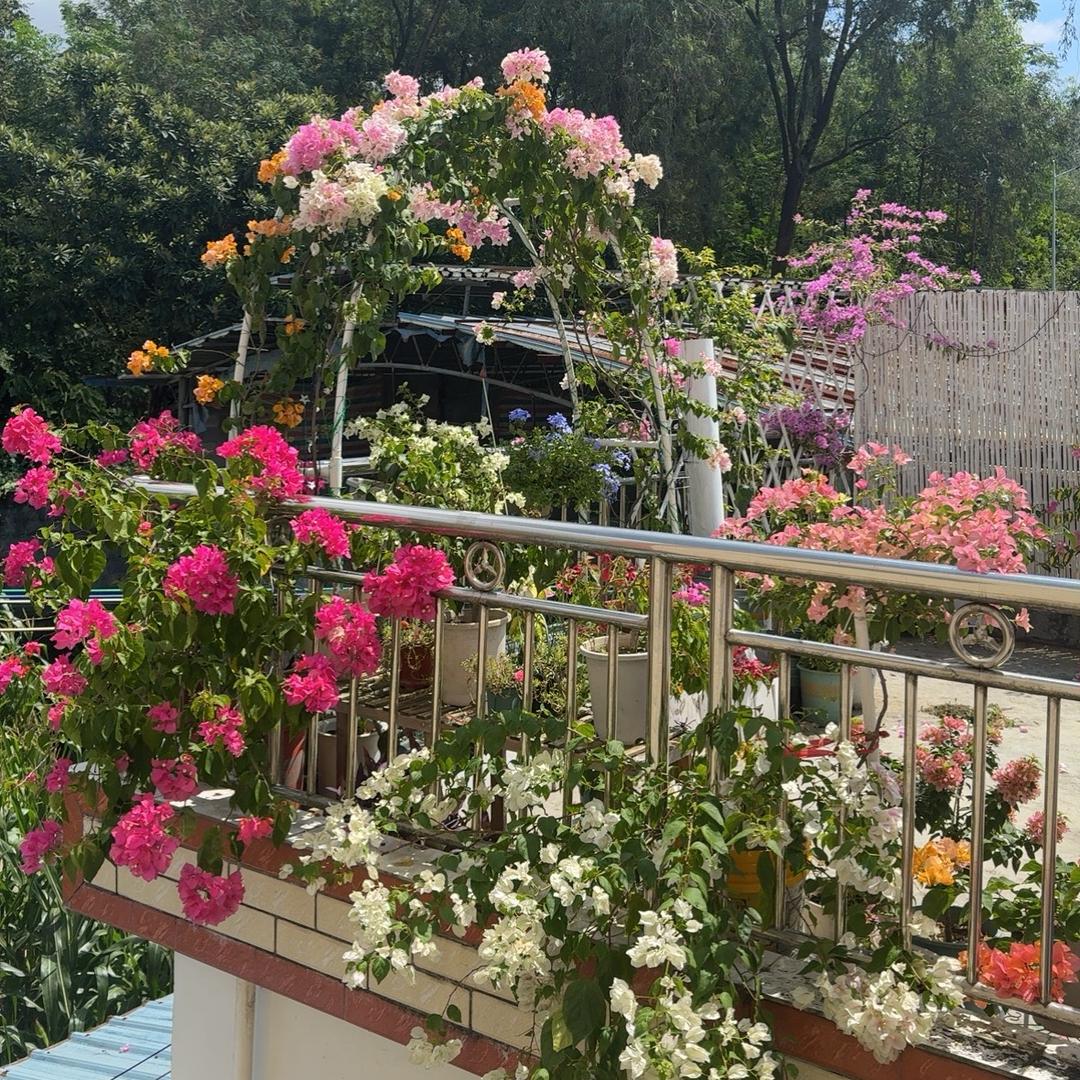 木子李露台花园