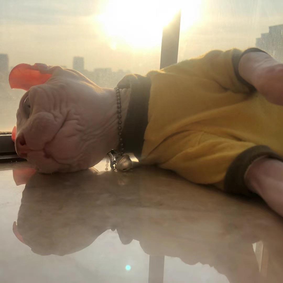 都易安