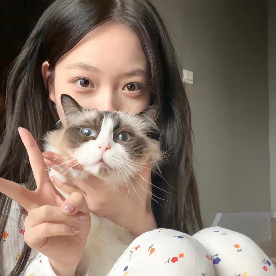 张鱼小丸子🐙