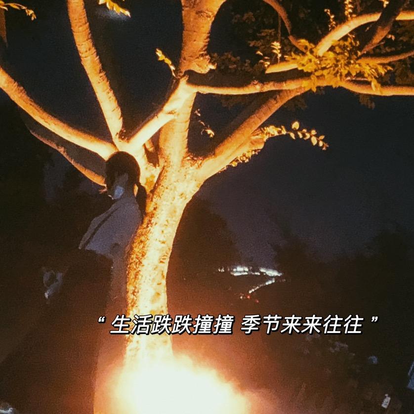 小九的初七