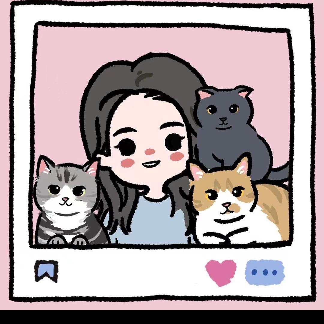 卷卷爱养猫