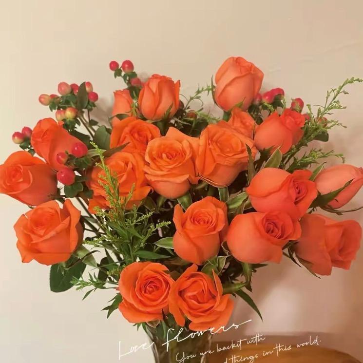 一美投·蝉鸣盛夏