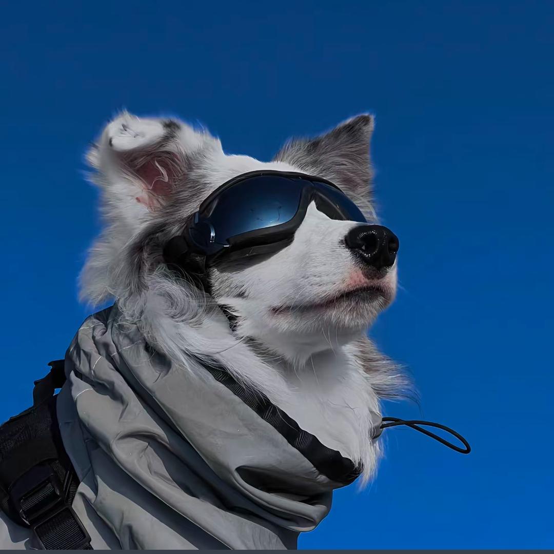 了了青山见⛰️