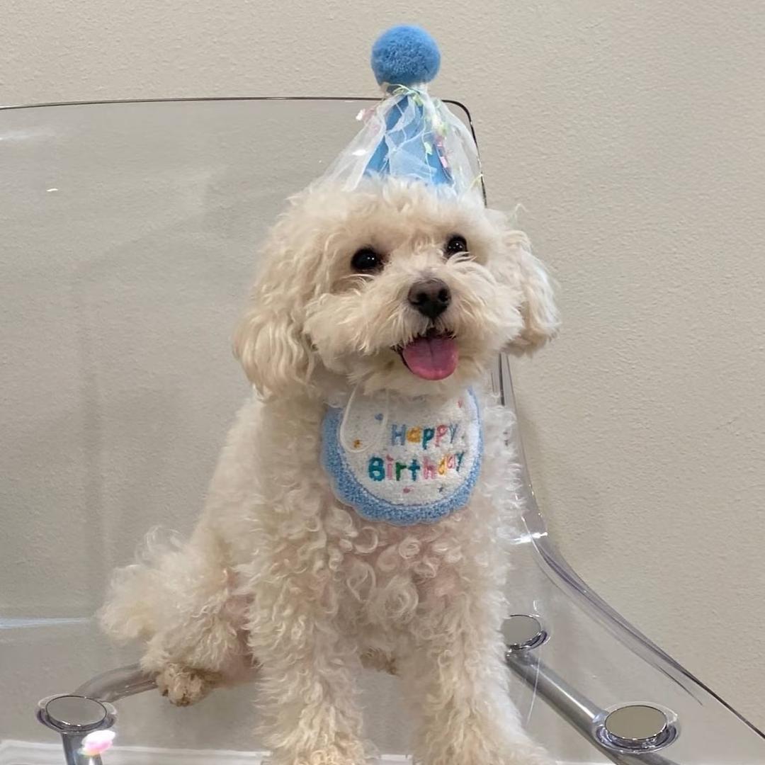 平平无奇的小徐