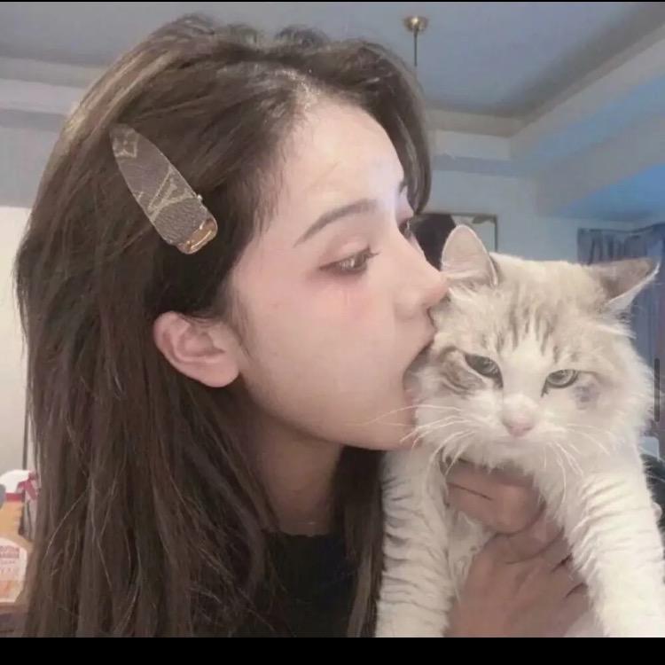 骑着蜗牛去打架