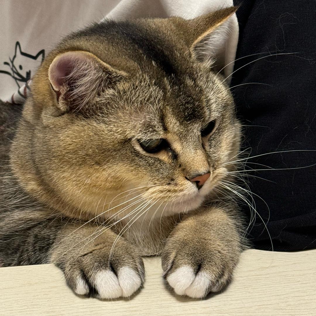 我叫王大壮