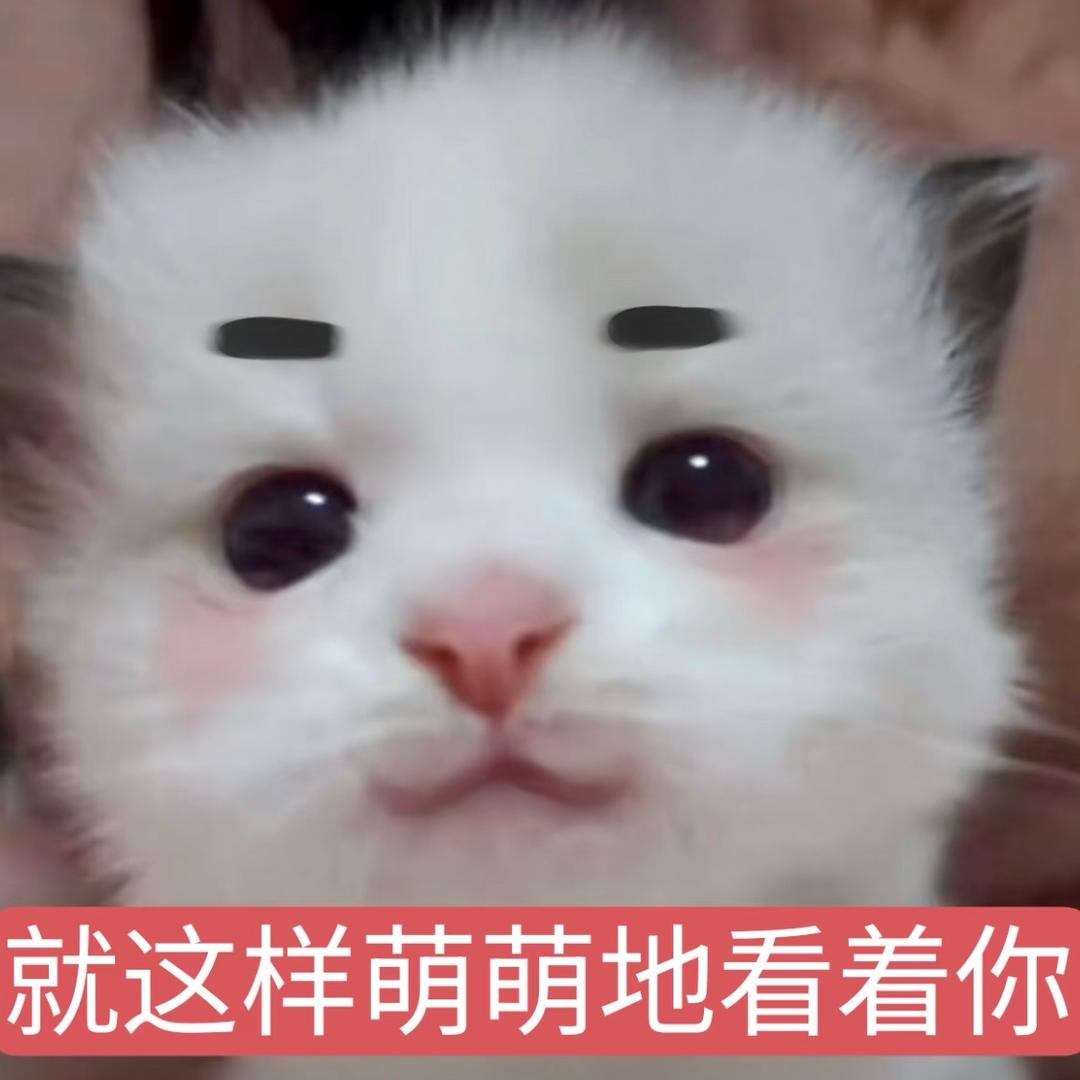 鸡腿ㅤㅤㅤㅤㅤ