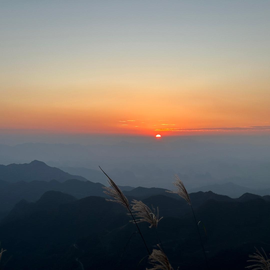 💢达sir💢🕷️