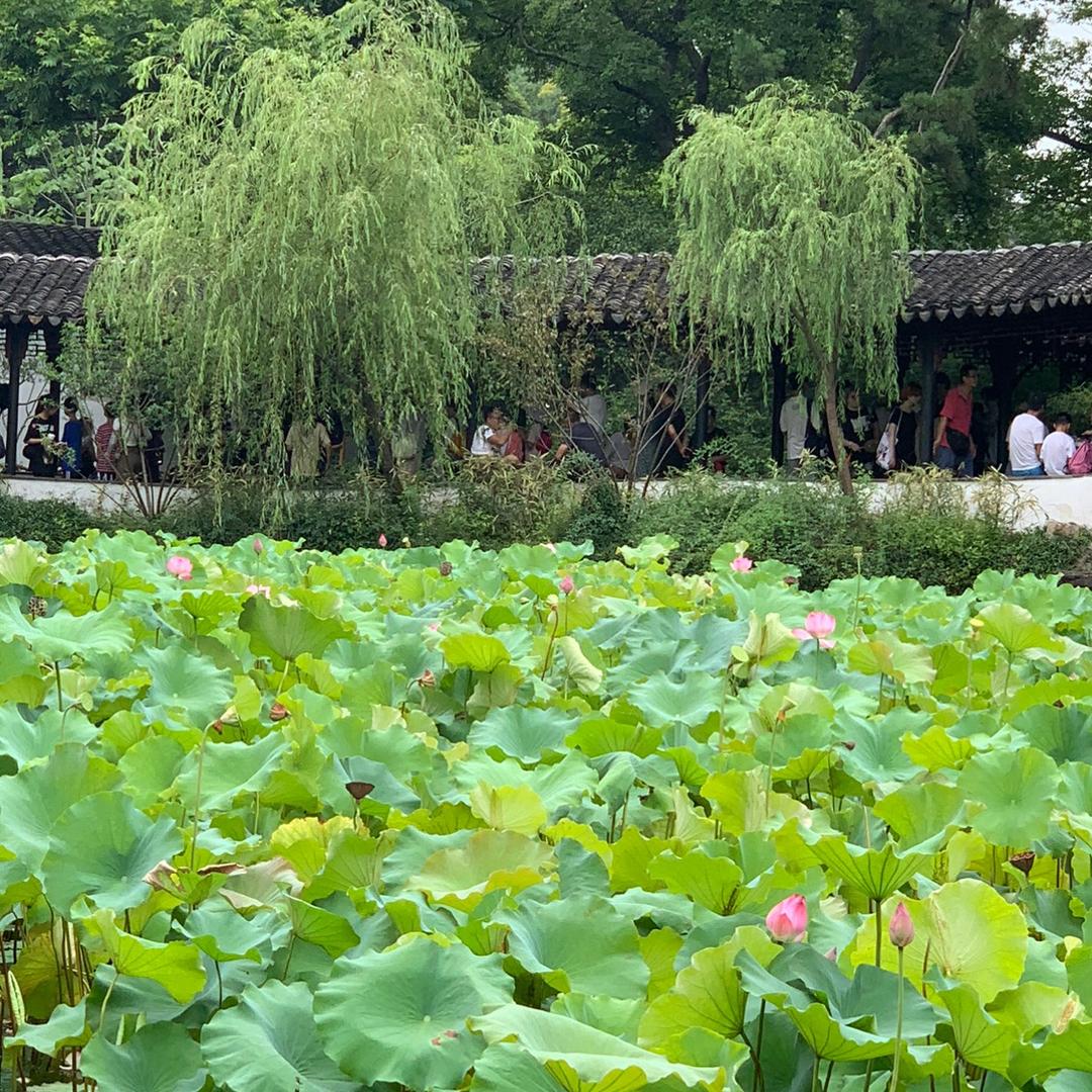 卍李相榕141319🐭🐲🐵卍