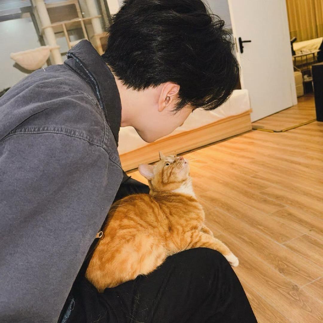 盐浩x猫