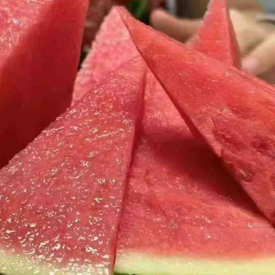 会飞的鱼