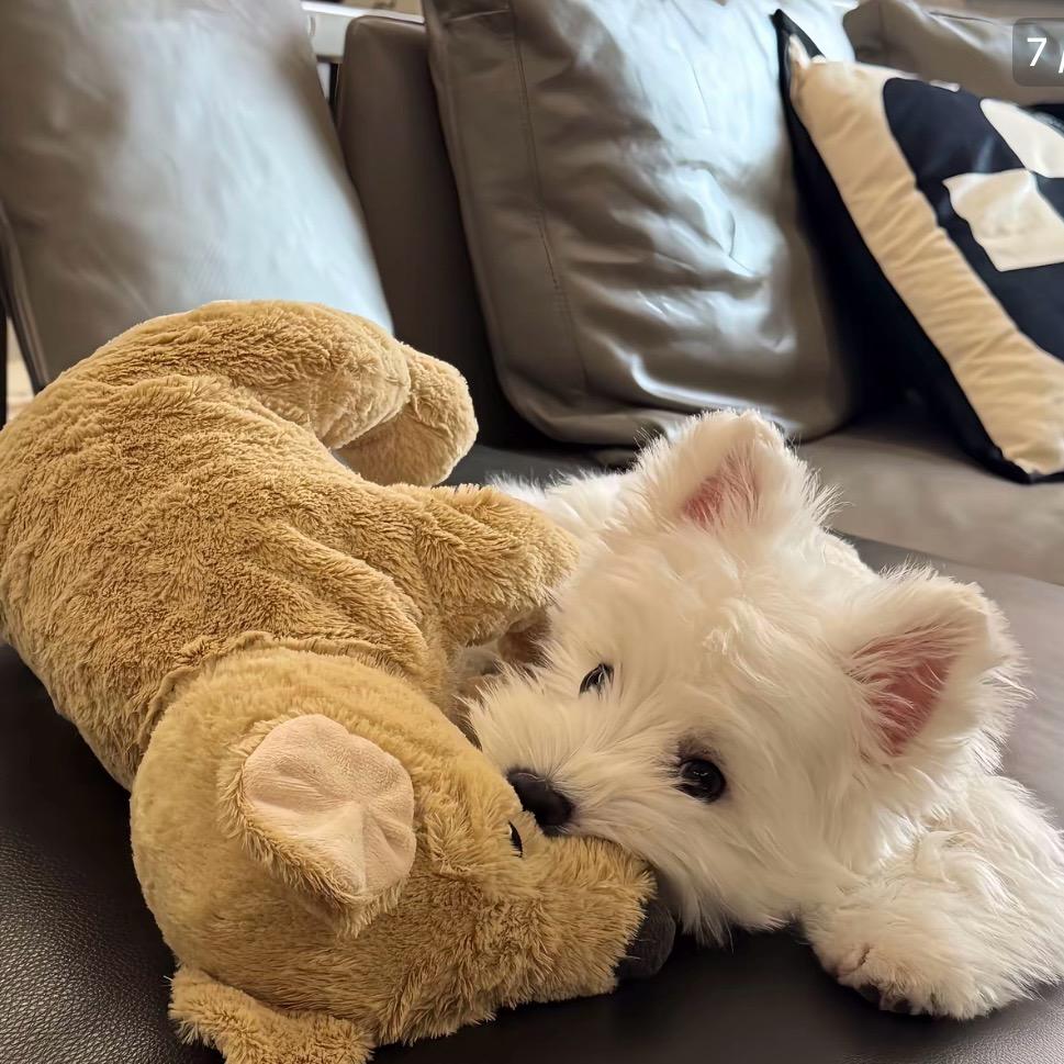 能不能先瘦20斤