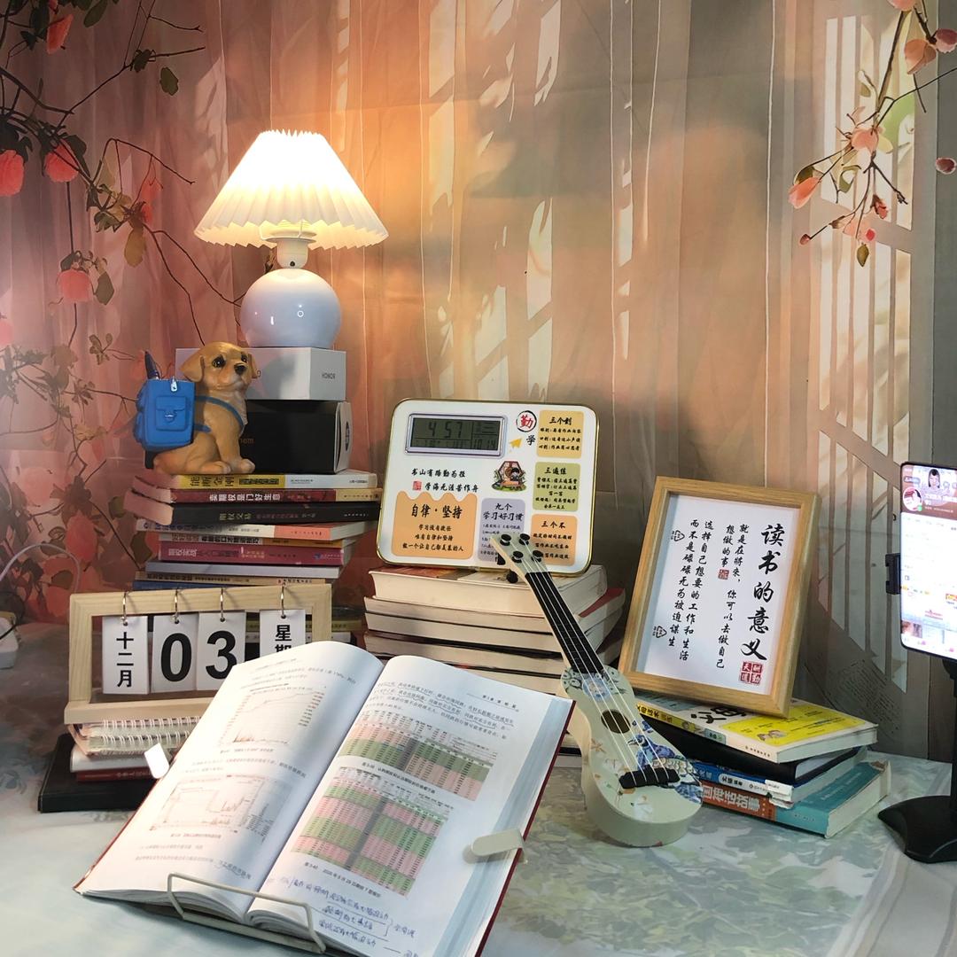 文亿范儿（期权陪学）