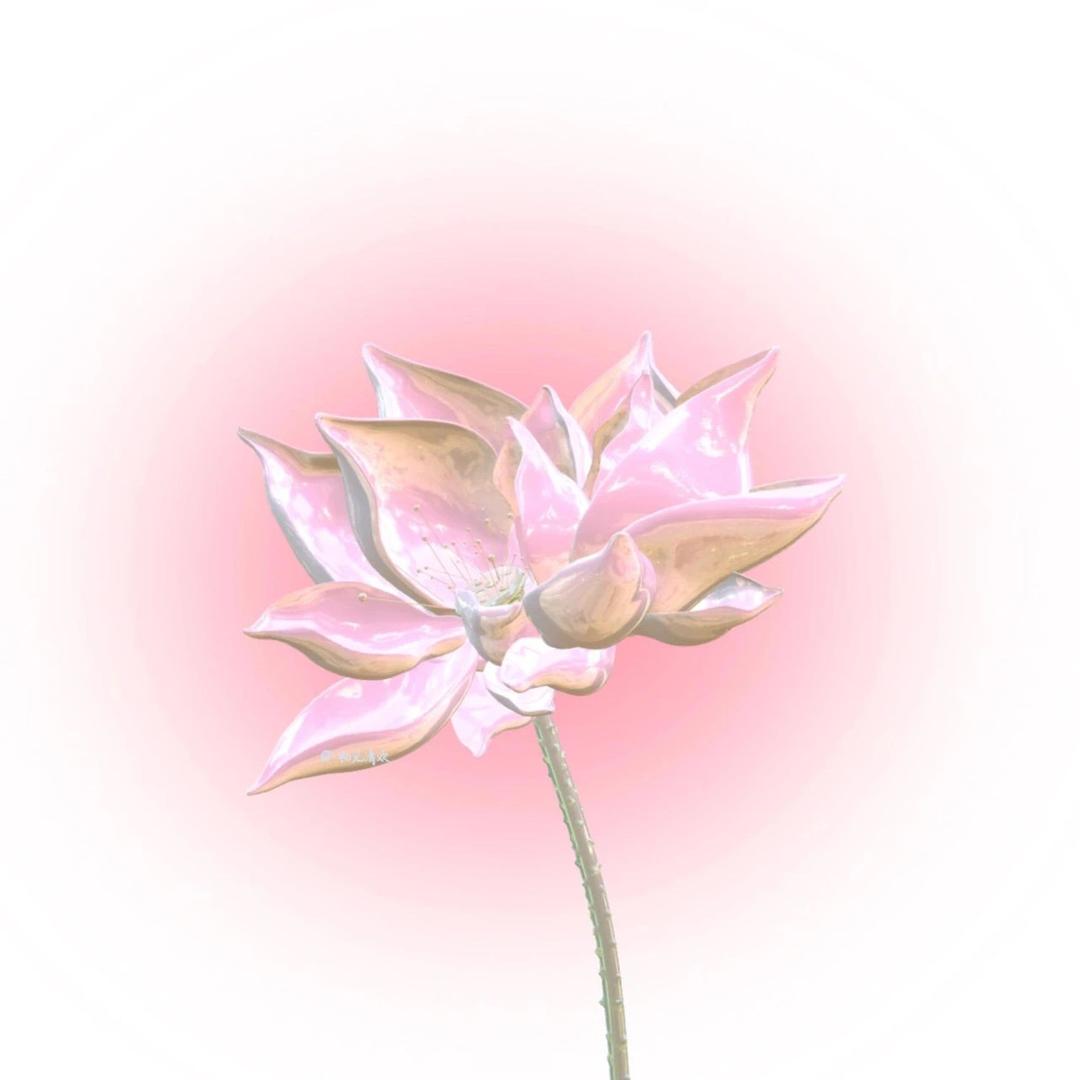 会发财的Lෆiiᥫᩣ