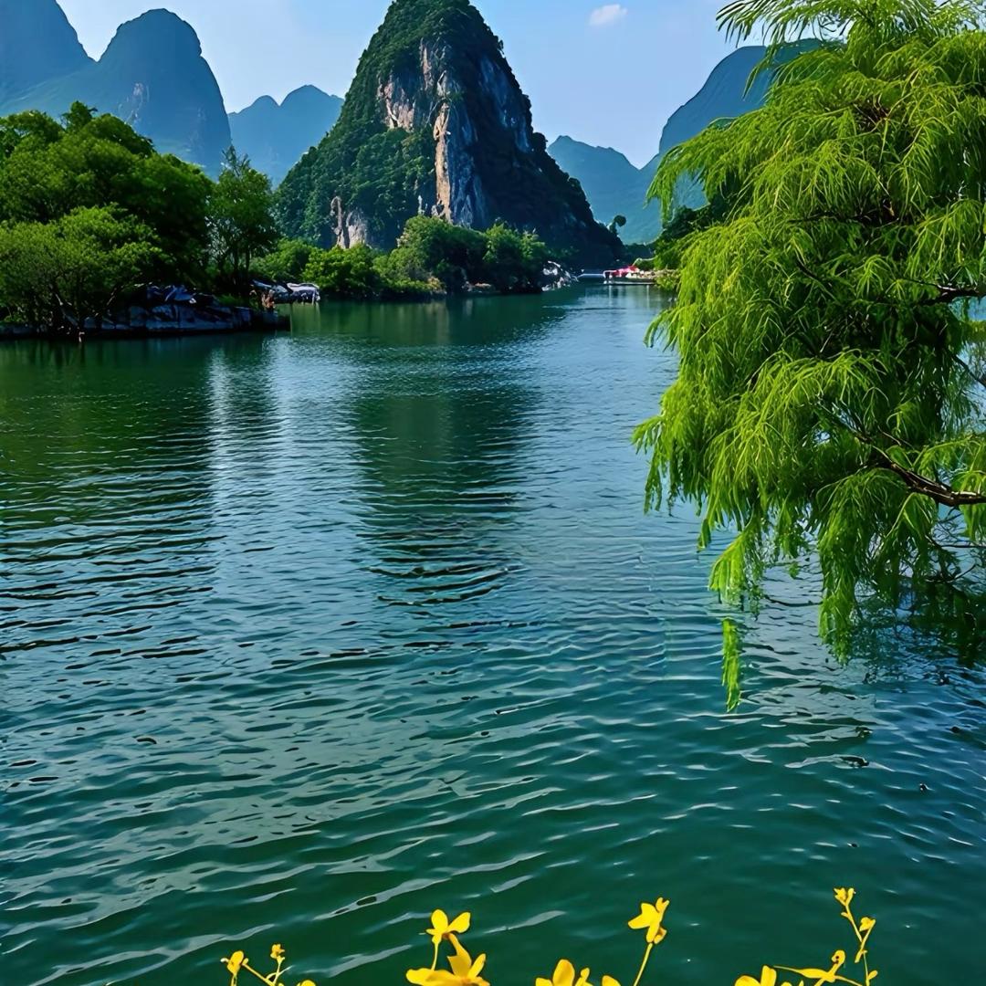 西柚哥(首播筹备中)中午12：00后直播