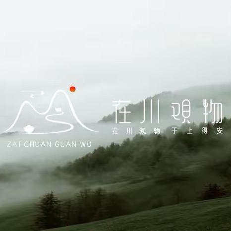 在川观物