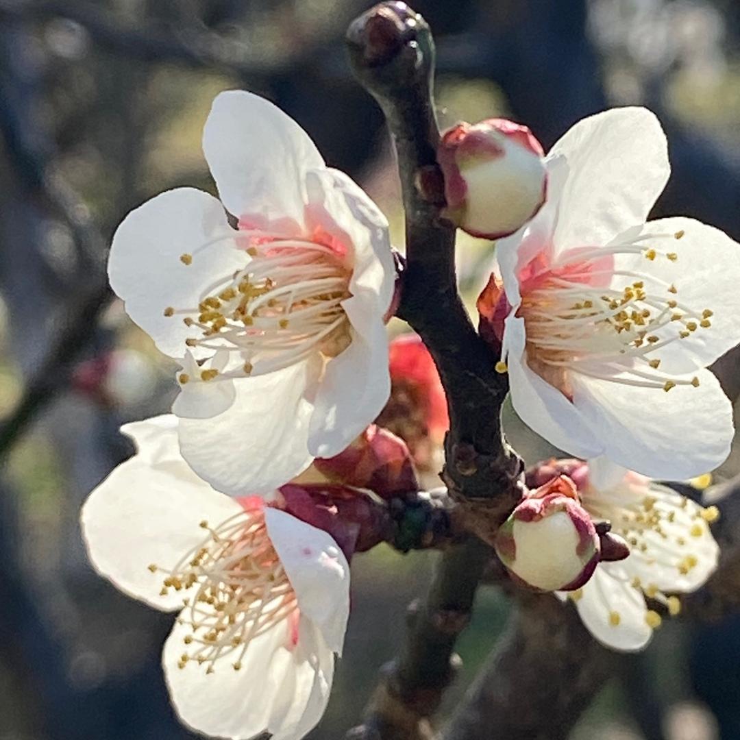 用户951795647966小草