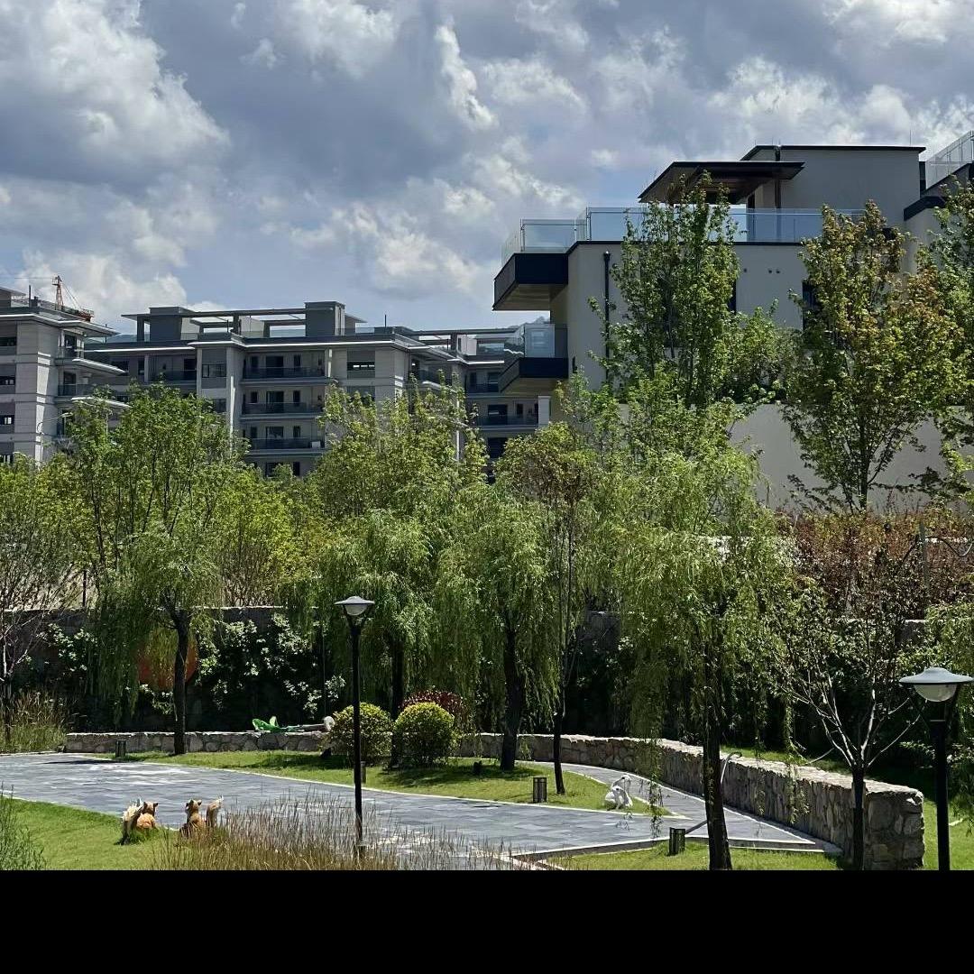 中华如意城娜娜子