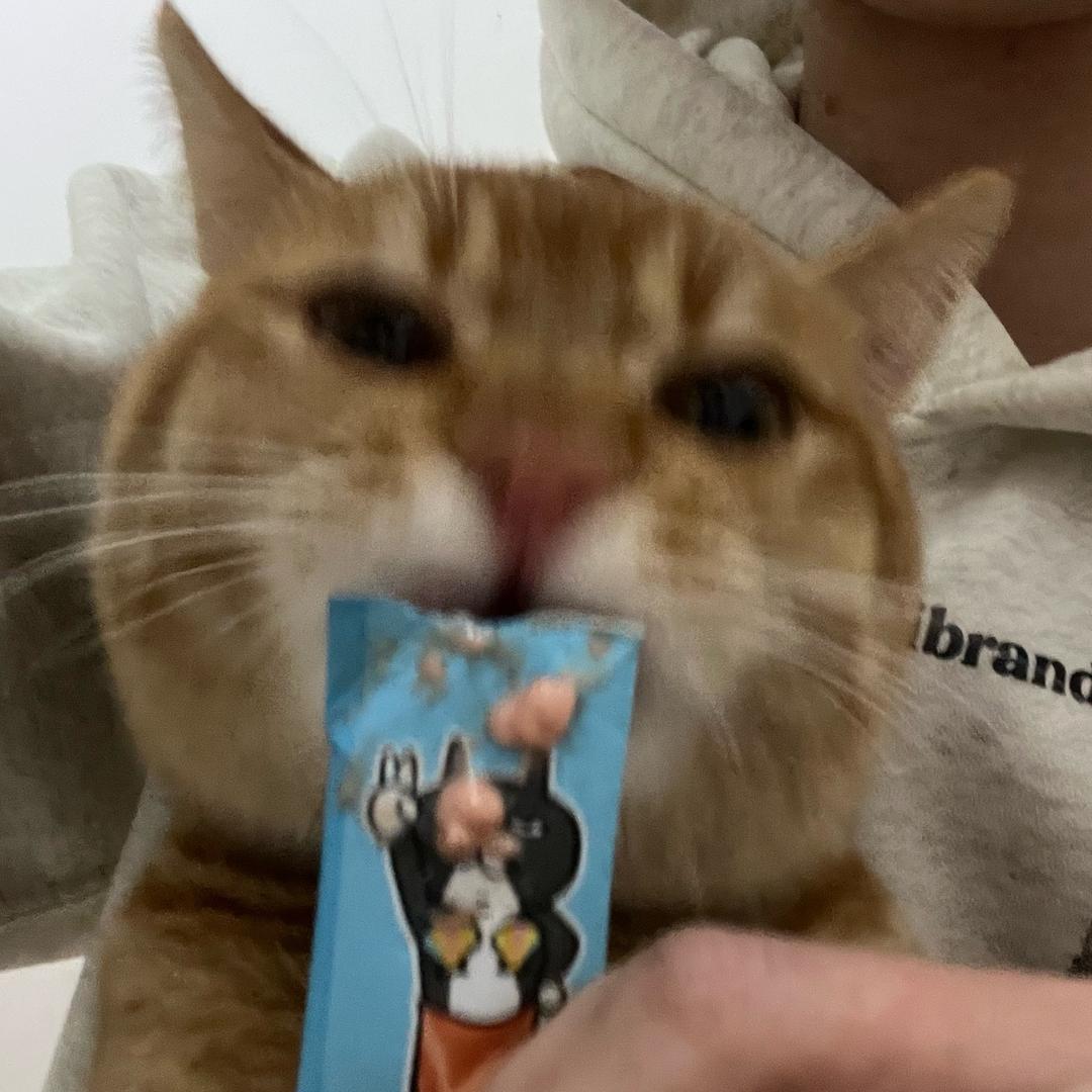 炭烤鸡腿