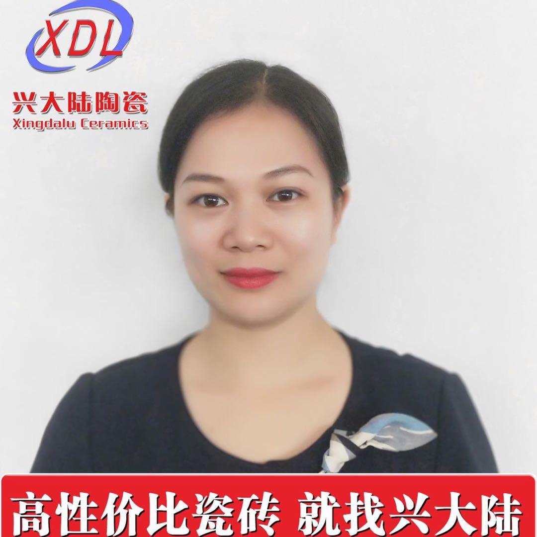 兴大陆特价砖～滕珍