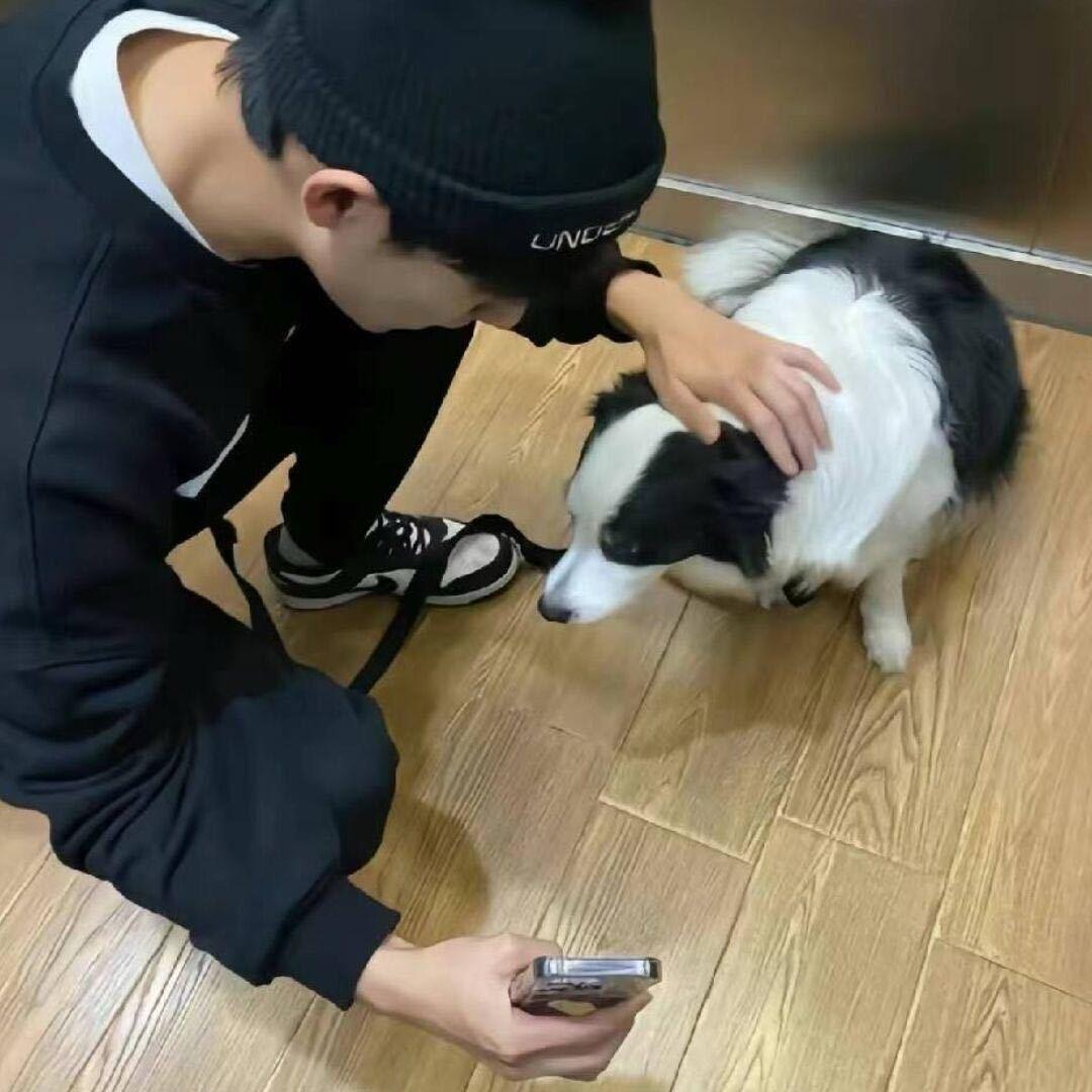 叶子先生～