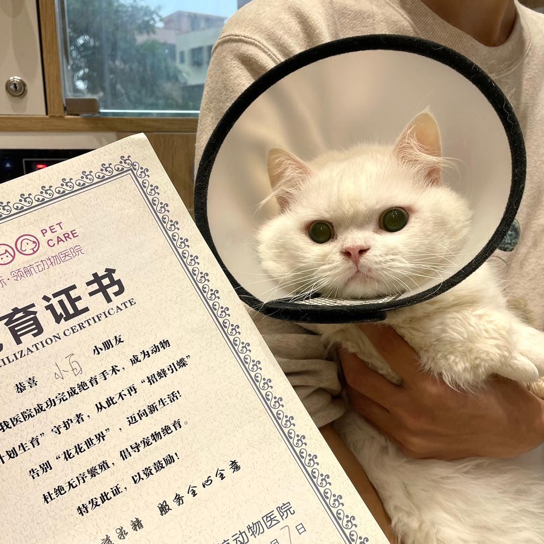 in pet one 宠物乐园
