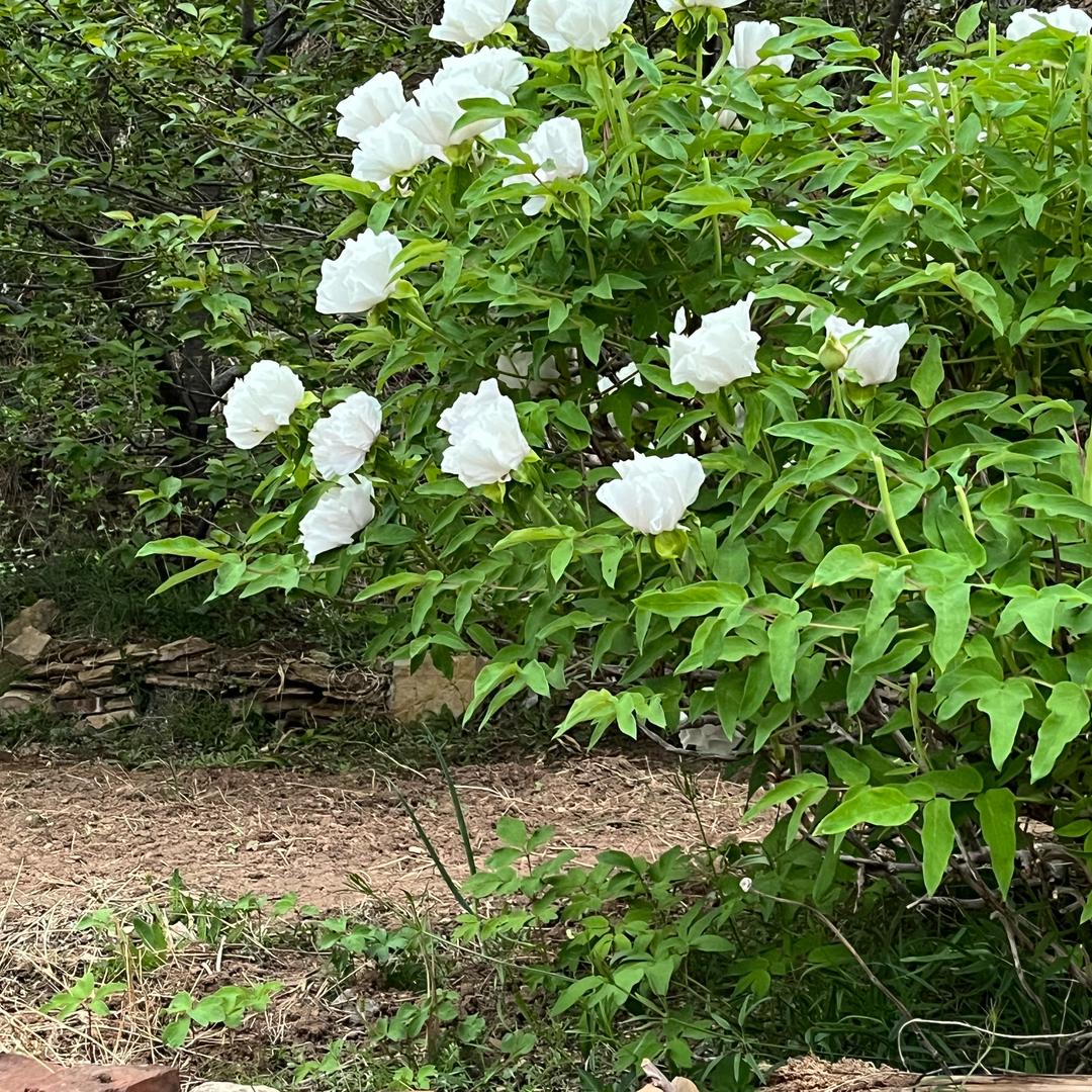 嗨！认识一下朋友
