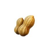 66爱吃生花生🥜