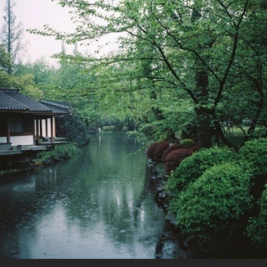 农村英姐