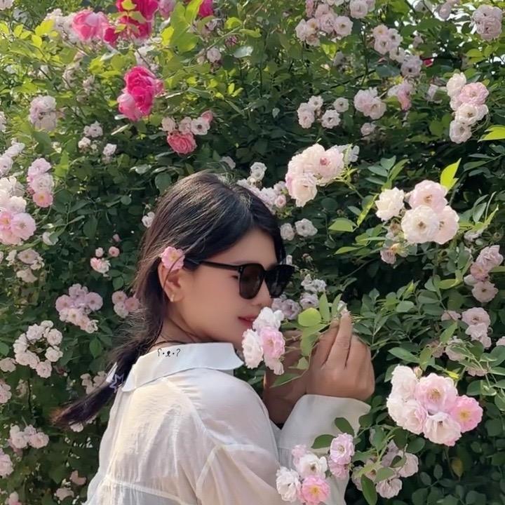 賈 不假（摆摊日记）