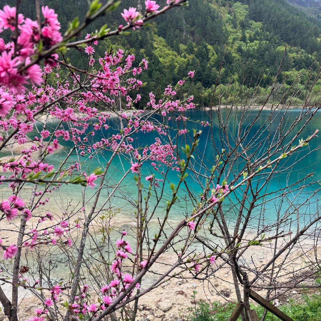 值得拥有-