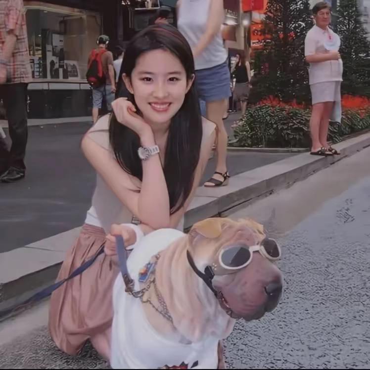 平步青云豆芽菜～