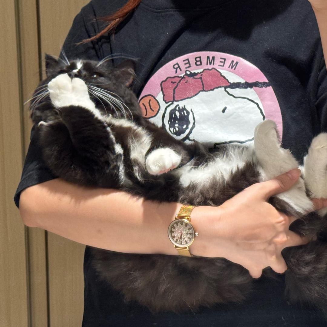 陈子chen🐰的陈安安