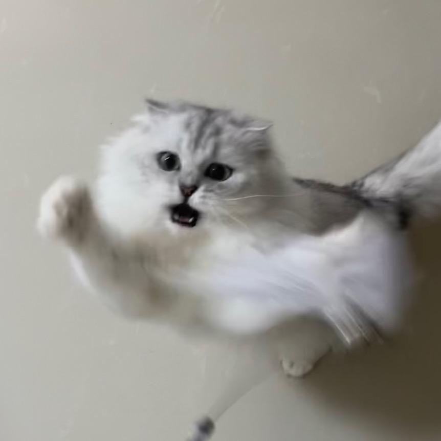 大壮～