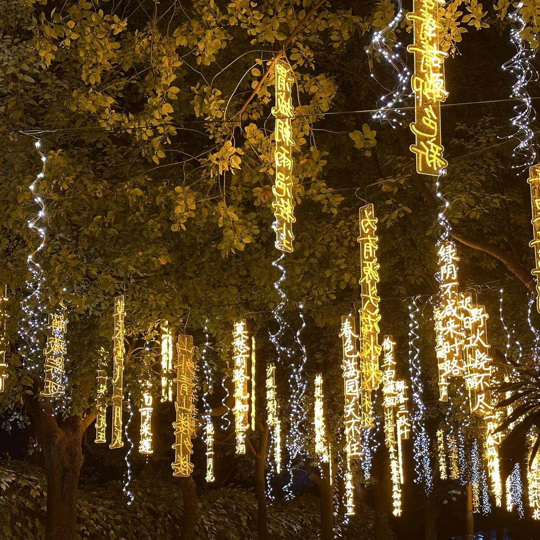 锦古塔藻翘羌笛柳文艺