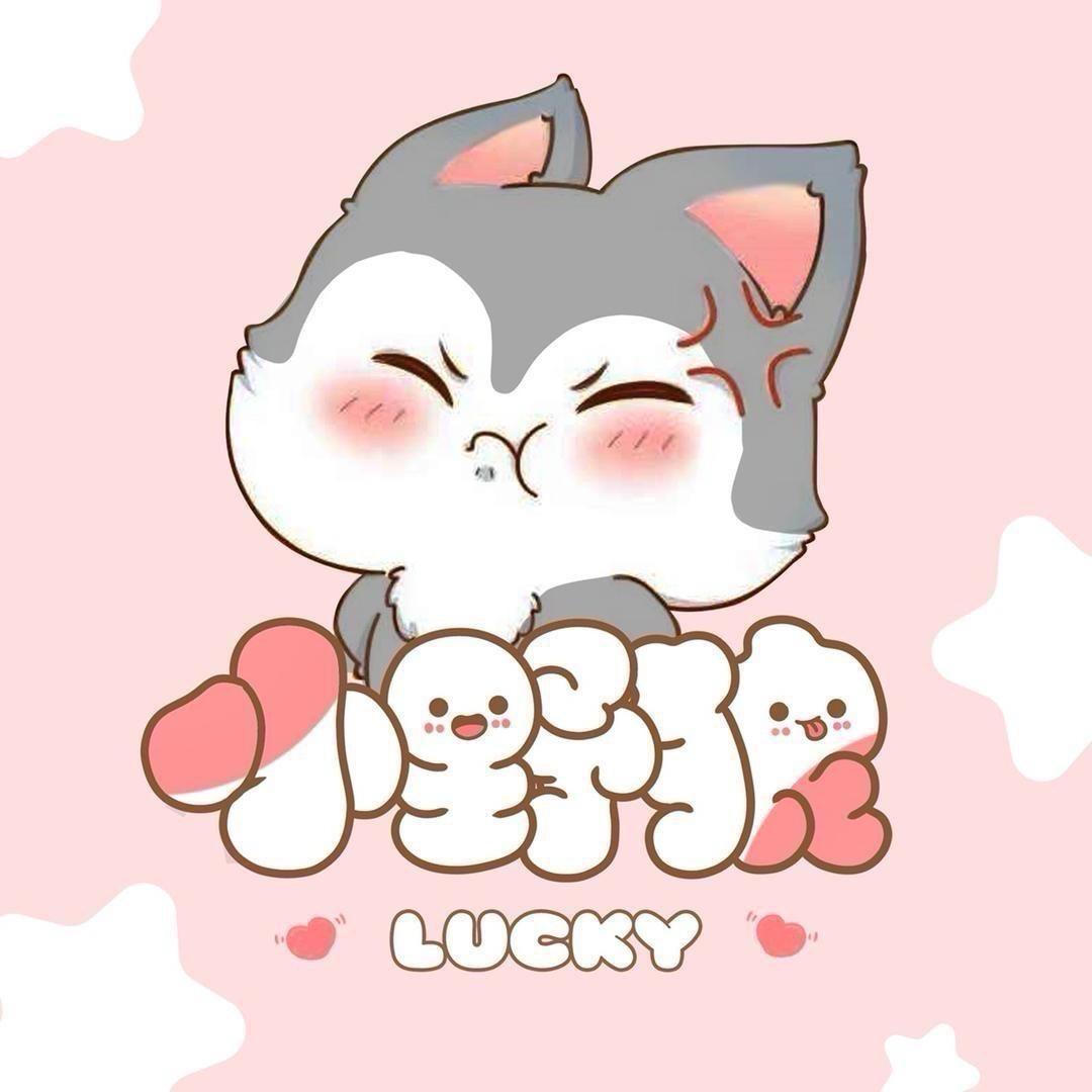 🌈小野狼