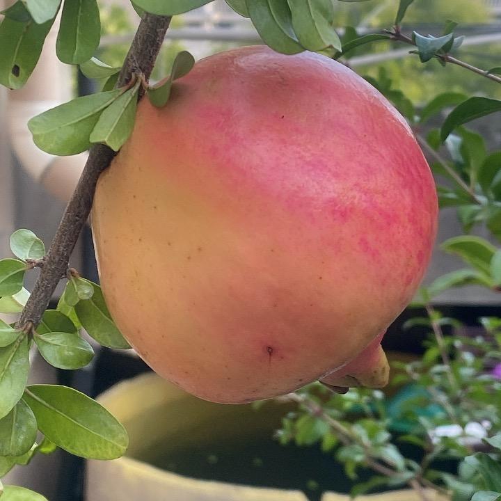 关注我